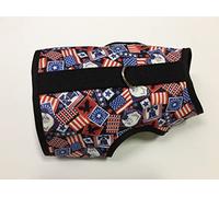 Kitty Holster Harnais pour Chat (KHPATRIOTXL)