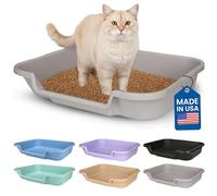 KittyGoHere Litière pour Chat Senior, Grande Taille, Couleur Gris Brumeux, Durable et sans Danger pour Les Animaux domestiques, entrée Basse de 7,6 cm et Beaucoup Plus d'espace pour Le Confort de