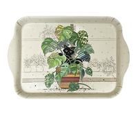 Mini plateau rectangulaire chaton monstera