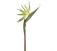 Kivivaka Lot de 6 tiges de fleurs artificielles oiseaux de paradis pour la maison, le bureau, le jardin et les décorations de mariage avec aspect réaliste et matériaux (trompette verte)
