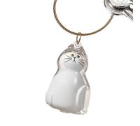 kivrimlarv Bouteille de rangement pour poils de chat - Petite poubelle portable transparente avec couvercle sécurisé, rangement de mémoire pour enterrement, voyage, voiture, maison, extérieur
