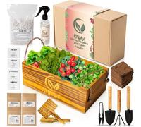 Kiwavi Mini potager urbain intérieur et extérieur - Kit complet de culture à la maison - Graines de tomates cerises, roquettes, chanoines et radis - Facile à utiliser