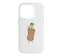 Kiwi Bird Volleyball et Kiwi Fruit Coque pour iPhone 14 Pro