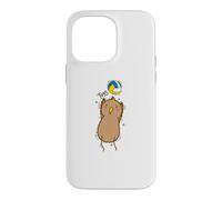Kiwi Bird Volleyball et Kiwi Fruit Coque pour iPhone 14 Pro Max