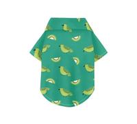 Kiwi Jade Bird Green 2 Chemise d'été boutonnée à manches courtes pour chien Tissu doux, léger et respirant à manches courtes Idéal pour un usage quotidien et une séance photo Taille XXL