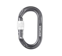 Kiwi Screw Anthracite TU