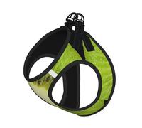 Kiwi Slice Ensemble harnais réglable pour chats et chiens, gilet en maille souple et respirant avec design réfléchissant, laisse anti-évasion pour petits animaux de compagnie, promenade et dressage