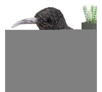 Kiwi-Vogel-Plüsch-Long Beak Fury KWI Plush POULLE | Design Unique Moelleux comme Un Vrai Oiseau | Pllüsch-KV-voggel pour Les Vacances de Noël