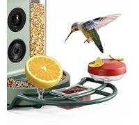 Kiwibit Beako Kit complet de mangeoire à oiseaux à monter soi-même, y compris mini mangeoire à colibris, 2 porte-fruits, mangeoire à gelée, compatible avec la mangeoire intelligente Beako avec caméra
