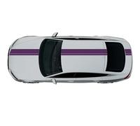 Kiwistar Bande viper brillante - 23 x 400 cm - Bande de course violette - Autocollant - Bandes de rallye - Sans film de transfert - Tuning - Viper - Racing