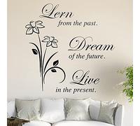 Kiwistar d'apprentissage from The Past. Sticker Mural Sticker Mural Wall Stickers - 6 Tailles, 70_Schwarz, 122 x 120 cm