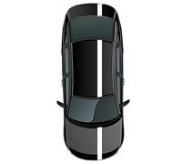 Kiwistar - Rayures vipère 4 m de Longueur Rayures décoratives Rayures de Course Se Rallier réglage décor Autocollant de Voiture Bande de vipère