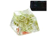 Kixolazr Capuchons de Clavier à Fleurs sèches, Capuchons de Clavier en résine, Espace arrière - Gypsophila Sa Profil Keycap,Clavier de Jeu en résine, translucide Brillant, R4, Esc pour Clavier