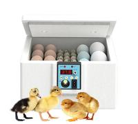 Kixolazr Incubateur d'Œufs | Incubateur pour Canards avec Fenêtre d'Observation - Boîte de Couvaison pour Maison et Éducation