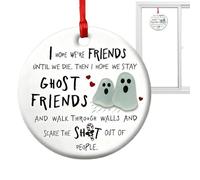 Kixolazr Ornement De L'Amitié | Décorations De en Acrylique Souvenir | Ornement Souvenir Amis pour Toujours - pour Vacances Anniversaire Filles Sœur Mur Porte Fenêtre Soirée Chevet Bureau Maison