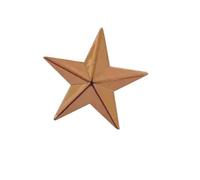 KIXZSAZ Badge étoile à cinq branches Design tridimensionnel haute brillance charmant accrocheur brillant durable épinglettes pour les anniversaires