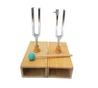 KIXZSAZ Ensemble de diapasons robustes pour accordeurs de guitare, mesures expérimentales en laboratoire et étude la conduction sonore diverses substances. Diapason avec