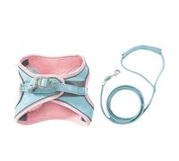 KIXZSAZ Ensemble de Laisse et de Harnais pour Chat en Velours Peau cerf, pour Anti-pincement et Maintien, Harnais en Tissu pour Chat et Ensemble Traction pour Chaton, Bleu Poudre, L