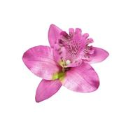 KIXZSAZ Fleur épingle à cheveux mode décoration épingle à cheveux chapeaux anniversaire photographie décoratif décontracté fête travail quotidien Vocation, Violet