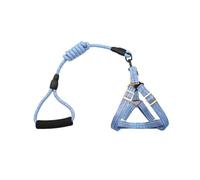 KIXZSAZ Harnais pour animaux de compagnie ensemble de laisse accessoire universel coffre-fort sangle poitrine extérieur marche chien plomb Traction corde fournitures pour animaux compagnie, Bleu, L