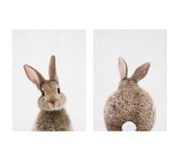 KIXZSAZ Impressions d'art classiques et abordables, 2 pièces, pour décoration murale élégante, tissu imprimé décoratif, peinture murale, thèmes classiques