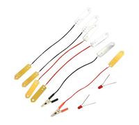 KIXZSAZ Kit éducatif créatif et ludique pour l'apprentissage à la maison : expérience scientifique sur l'énergie des fruits, matériel pédagogique unique pour enfants et adolescents, kit de physique et