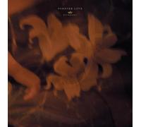 Kiyoharu - Forever Love [Import]