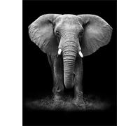 KIZIFI 5D Diamond Painting Adulte Éléphant Animal, DIY Peinture Diamant Kit, Diamant Painting Kit Complet Round Diamant Strass Point de Croix Cristal Painting pour Cadeaux et Décoration 30x40cm