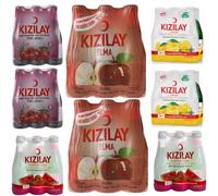 KIZILAY Lot de 48 bouteilles d'eau minérale naturelle au goût mixte de fruits (cerise, pomme, pastèque, citron), eau minérale riche avec bicarbonate et sodium 200 ml