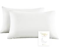 Kjakl-Townssilk 100% Pure Tencel Taie D'oreiller, Taie D'oreiller Haut De Gamme, Adapté À La Santé Des Cheveux Et De La Peau, Super Confortable, 2 Pièces, 65x65 Cm, Naturalwhite