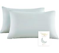 Kjakl-Townssilk 100% Pure Tencel Taie D'oreiller, Taie D'oreiller Haut De Gamme, Adapté À La Santé Des Cheveux Et De La Peau, Super Confortable, 2 Pièces, 65x65 Cm, Avec Fermeture Éclair Cachée, Ligh