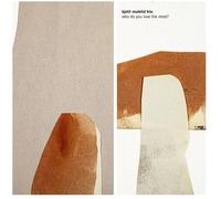 Kjetil Mulelid - Who Do You Love The Most? [Vinyl Lp]