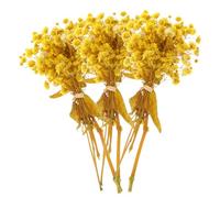 KJHBV 3 Bouquets de Fleurs Séchées de Gypsophile Naturelles pour Décoration de Table et Ambiance Authentique, pour Décoration de Boutique ou Pièce