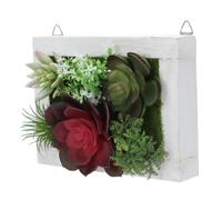 KJHBV Décoration de Cadre Photo Créative en Bois Plastique, Plante Grasse