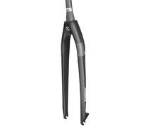 KJHFD Fourches rigides pour VTT Fourche Avant en Fibre de Carbone Frein à Disque 9x100 mm QR Tube Conique sans Filetage ultraléger g (Couleur : Noir Gris, Taille