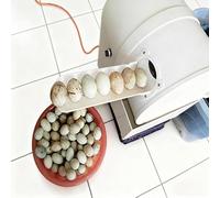 KJHYYPP Laveuse d;œufs Automatique 120 W, capacité de 2300 œufs de Poule, Canard et oie par Heure, idéale pour Une Utilisation Domestique ou à la Ferme.