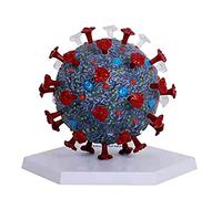 KJMWXOP Puzzle 4D assemblé, modèle de coronavirus, modèles anatomiques pédagogiques utilisés pour l'affichage pédagogique à Faire soi-même, musée des Sciences, modèles Anatomique