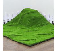 KJoBDwz Tapis de mousse artificielle pour la maison, la terrasse, le jardin, l'aménagement paysager, tapis de pelouse (E)