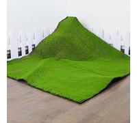 KJoBDwz Tapis de mousse artificielle pour maison, terrasse, jardin, plante décorative, aménagement paysager, tapis de pelouse (D)
