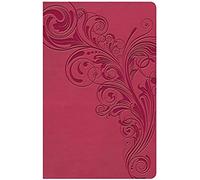 Kjv Large Print Personal Size Reference Bible, Pink Leathertouch Indexed
