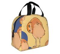 KKAFGBV Sac à déjeuner fourre-tout unisexe avec poche de rangement, étanche, motif chouette tordue