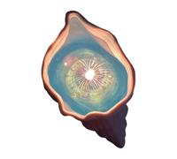 kkiuop Bougie d'aromathérapie Conque Parfum Coquillage Étoile Fait Main Jelly Candle Anniversaire Vent Atmosphère Compagnon Océan Cadeau