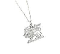 kkjoy Collier Lion Persan et Soleil de l'Iran en Acier Inoxydable Unisexe Pendentif Patriotique Bijoux Pour Femme Homme(Modèle 1, Argent)