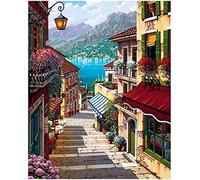 KKKKX Broderie Cross stitch kit Ville perchée 40x50cm DIY art kit de point de croix broderie, adapté aux débutants pour décorer à la maison (Toile pré-imprimée 14CT)