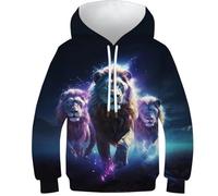KKOLASXZE 3D Imprimé Lion Sweat À Capuche Manteau Sweat-Shirt Manches Longues PulAmourr Unisexe avec Capuche 13-15Y