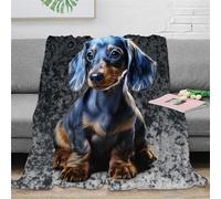 KKPBHTYVG Imprimée 3D Teckel Couverture en Peluche Peluche Couvre Microfibre Douce Et Chaude Couvertures Couverture De Canapé pour Canapé Et Lit 50x60inch(127x152cm)