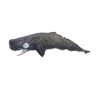 KKPLZZ Modèle de Cachalot, Figurine d'animal Marin Réaliste de 8,3 Pouces | Plastique Non Toxique, Figurine éducative de la Vie Marine, Objet de Collection Portable, Affichage en Classe, Jeu Imaginatif