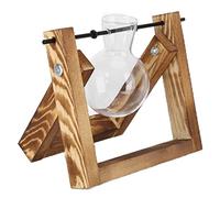 KKPLZZ Terrarium Végétal, Support en Bois Vintage avec Mini Vases en Verre à Ampoule pour la Décoration du Bureau à Domicile, Arrangement Floral, Idées Cadeaux (Support rétro + Bouteille Simple)