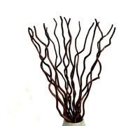 KKTHDM Branche de saule bouclée naturelle séchée, 15 tiges de bâtons décoratifs blancs de 55,9 cm, petites gourdes véritables 3 pièces pour la décoration de la maison (rougeâtre)