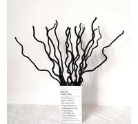 KKTHDM Branche de saule bouclée naturelle séchée, 15 tiges de bâtons décoratifs blancs de 55,9 cm, petites gourdes véritables 3 pièces pour la décoration de la maison (noir)